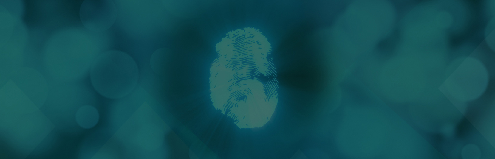 Business Applications with Digital Identity Management Digital Identity, Fingerprint